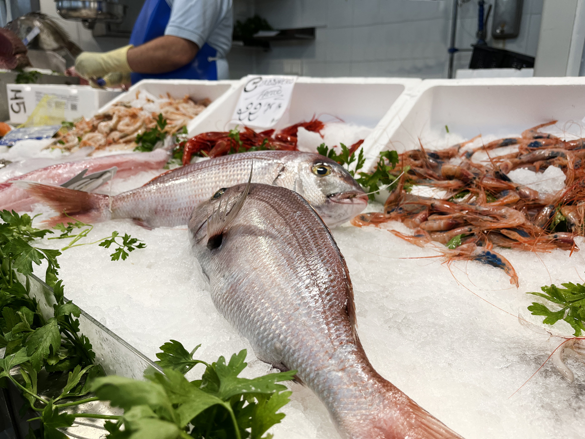Fisch Angebote - jede Woche neue Angebote!